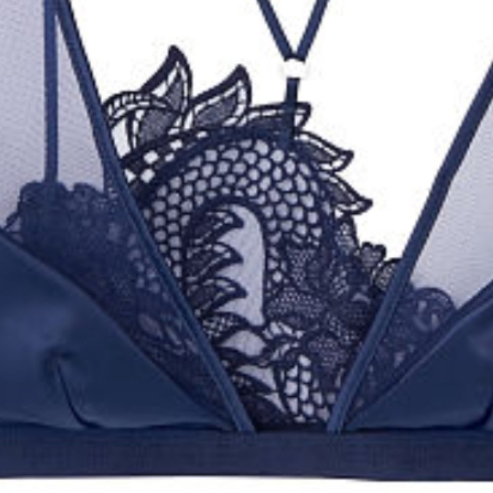 VS Luxe Lingerie Blue Dragon Lace Plunge Bra XS - Picture 2 of 11
